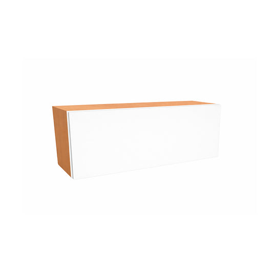 Single Door Wall Cabinet – Micro